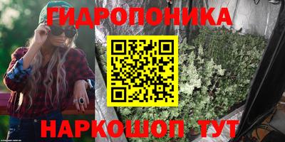 spice Чебоксары