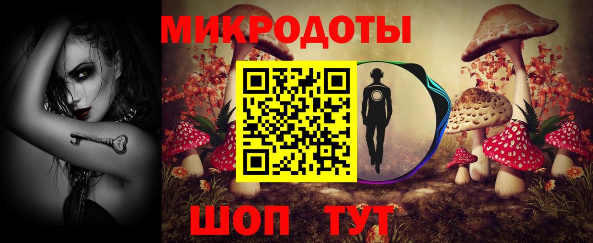 Галлюциногенные грибы Cubensis Электросталь